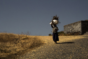 The inhabitant of the caldera on her way home.