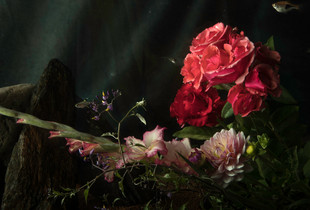 Flowers in the water