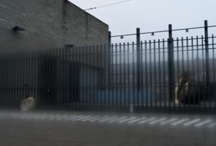 Out-Side
