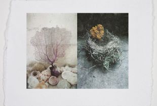 Growth Potential | Put to Rest     © Kelsey Floyd