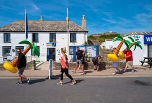 Palm trees in Swanage