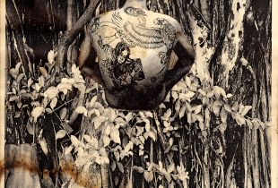 Catharsis