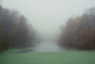 Mist
