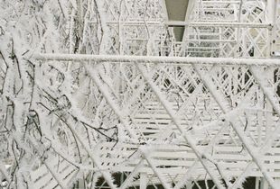 Winterwonderland