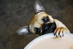 Last Crumb