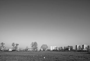Milan Borderland #1