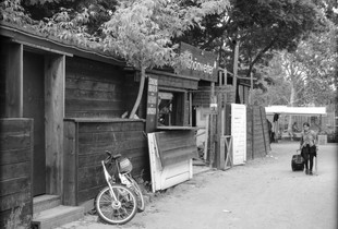 Alltag im Mauerpark