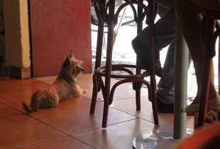 Waiting