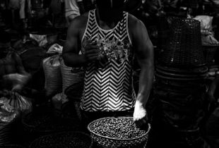 Açaí Berry's Market