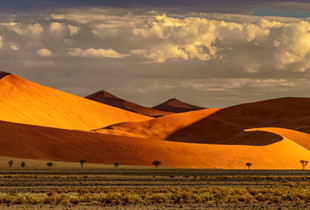 Swirling Dunes