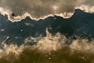 Untitled (Gowsanus Canal)