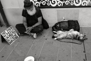 Dog Days. Ancona, July 2018 (30°C)
