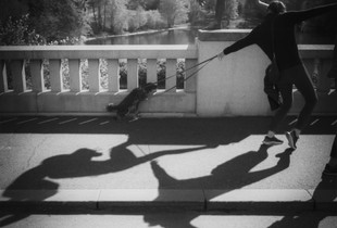 Shadow Puppetry