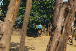 Through the Fence