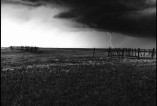 © George Webber  - Near Wardlow, Alberta, 1995