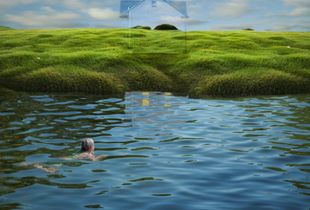 Swimming the Infinite   © Ann Mitchell