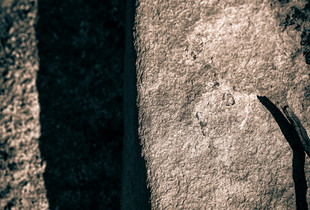 Stick A Stone