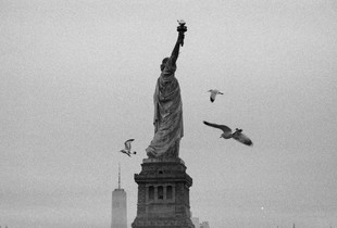 What does liberty mean to you?