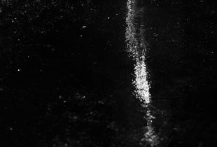 Dark Days or The Company Of Books