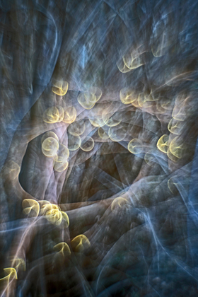 Travelling Orbs