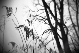 Seek