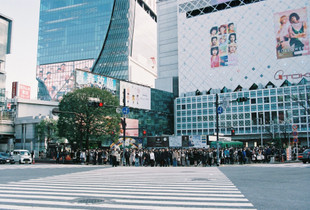 Shibuya Scramble Crossing 2020