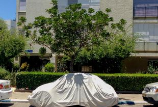 Urban nature 2