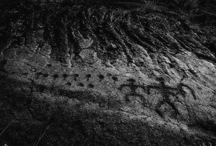 Hawaiian  Petroglyph 3