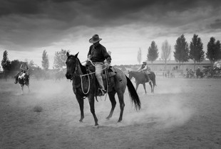 Horse Work