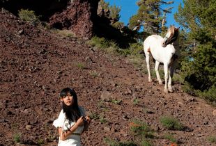 Native American Dreams