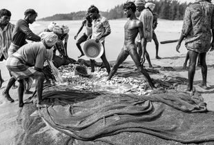 The Harvest from the sea.