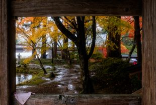 Autumn Rain, Hiraizumi