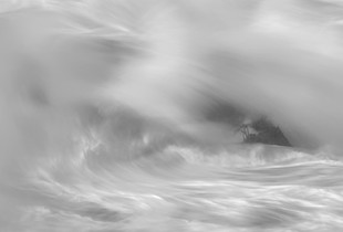Sea Palms in the Storm