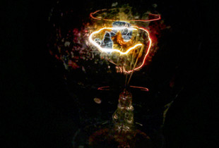 LIGHT BULB
