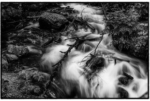 ALASKAN RIVER I