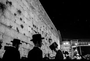 The Wall VII