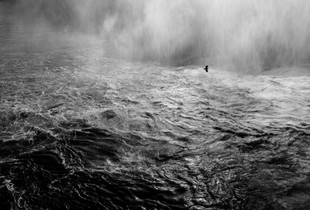 Niagara - study III