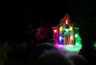 Elf Street