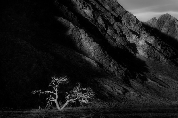 Solitude