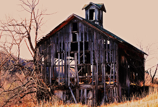 Skeleton Barn One