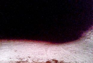 Once upon a night in a deer forest is an experimental project using a low resolution Mr. Lee catcam.
