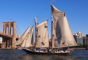 Escorting the Wavertree Home