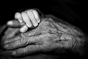 Generations