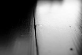 Hide 10 © Anastasia Davis