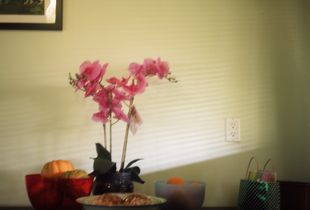 The kitchen table
