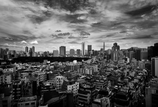 The Streets of Seoul