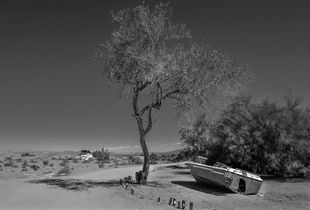 Forty Days in the Desert. No 9.