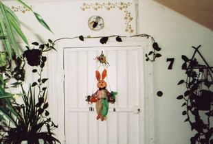 Flat entrance (2009)