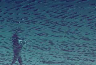 À travers l'eau-de­là, je peux te senti­r