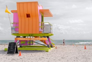 Life Guard Checkpoint II
